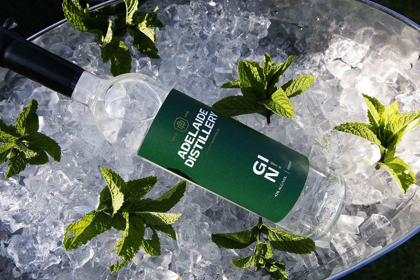 Next project — Silent Listener